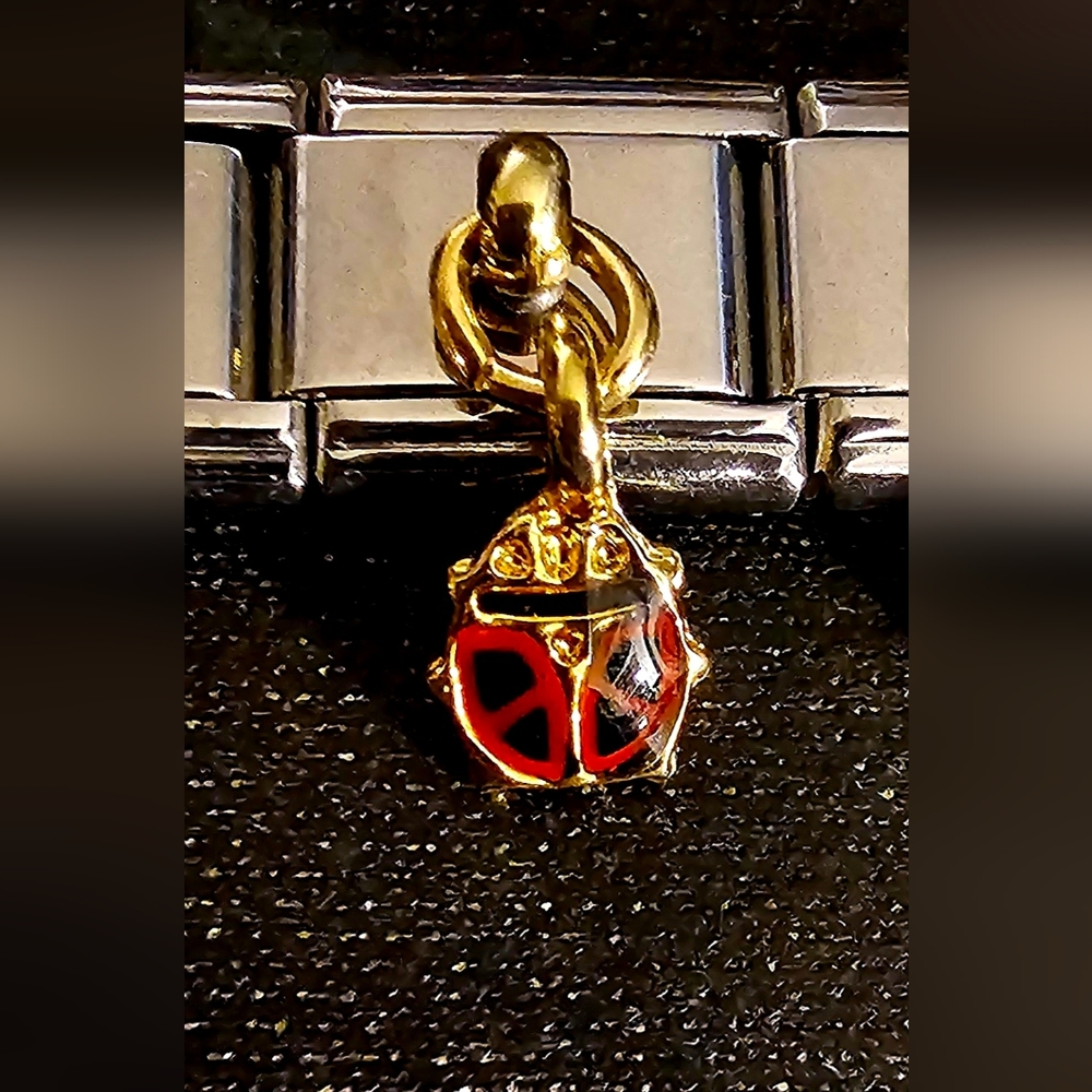 - Cute Little italian Dangling Ladybug Charm